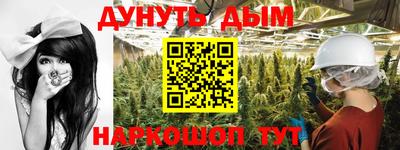 каннабис Новозыбков